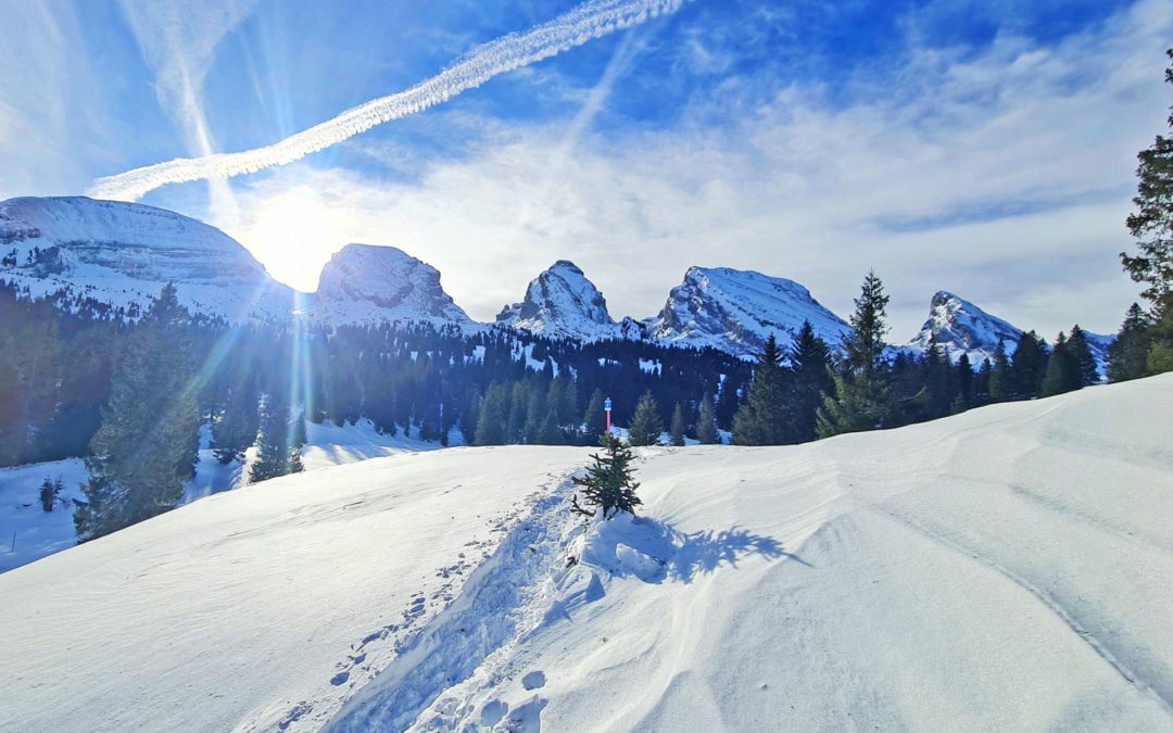 Glitzernde Schneeschuhwanderung für Anfänger