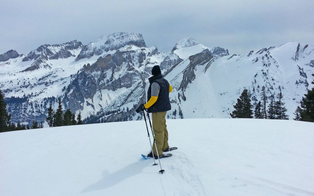 Idyllische Anfänger-Schneeschuhtour in Wildhaus mit Säntisblick