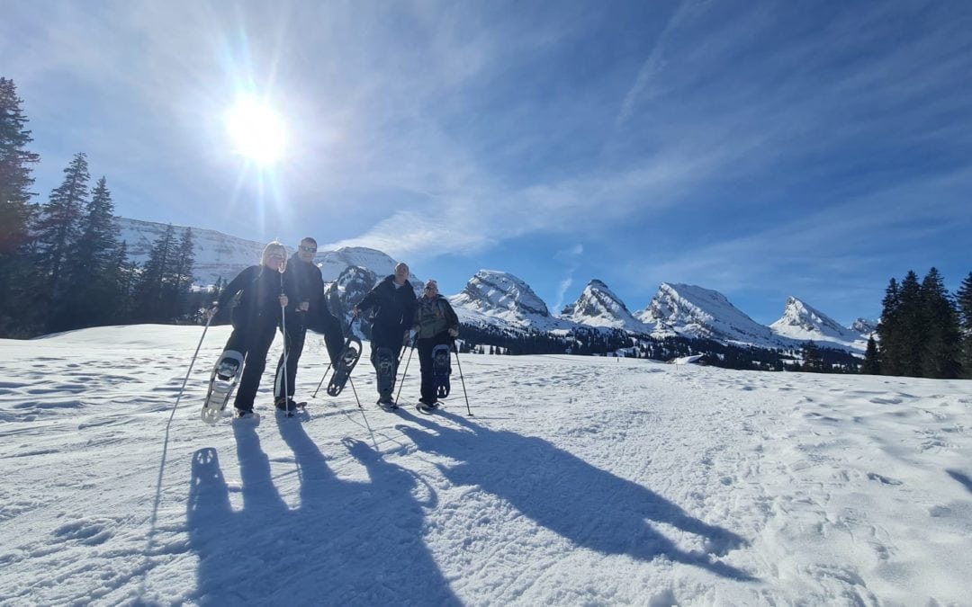 Abschluss-Schneeschuh Tour unterhalb der Alvierkette